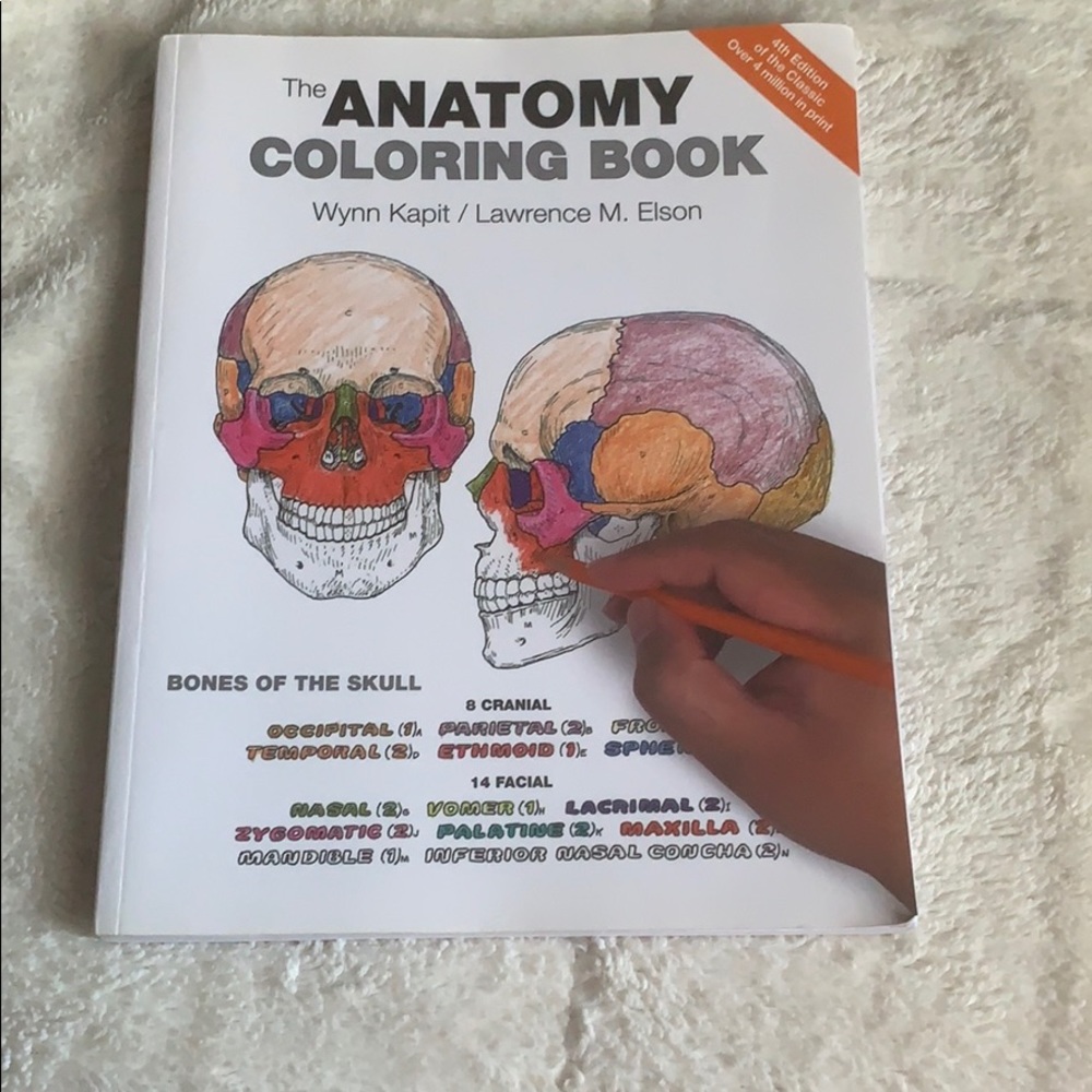 Anatomy Coloring Book